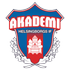 Helsingborgs IF Akademi