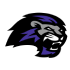Paine Lions