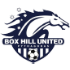 Box Hill United