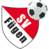 SV Fuegen