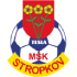 MSK Tesla Stropkov