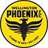 Wellington Phoenix B