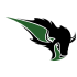 Oklahoma Baptist Bison