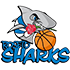 Roseto Basket Town