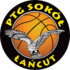 Sokol Lancut