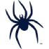 Richmond Spiders