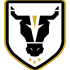 Bulls FC Academy