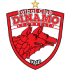 CS Dinamo Bucuresti