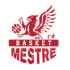 Basket Mestre