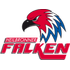 Heilbronner Falken