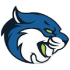 Bryant & Stratton Bobcats