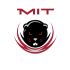 MIT Engineers