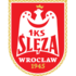 Sleza Wroclaw